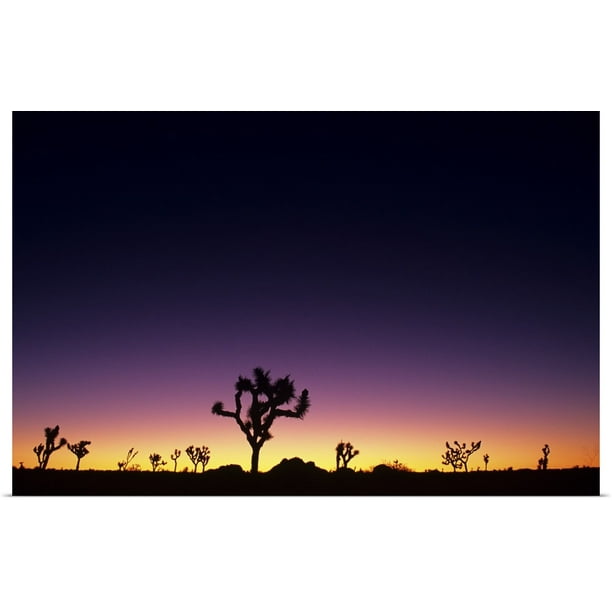 Mojave Desert Joshua Tree Print Pastel Joshua Tree Desert